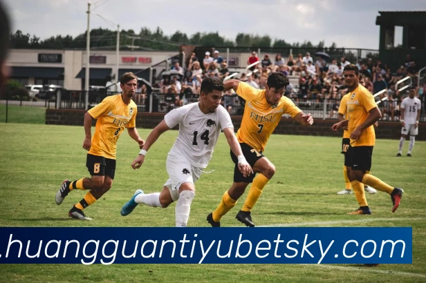 App Interface Preview